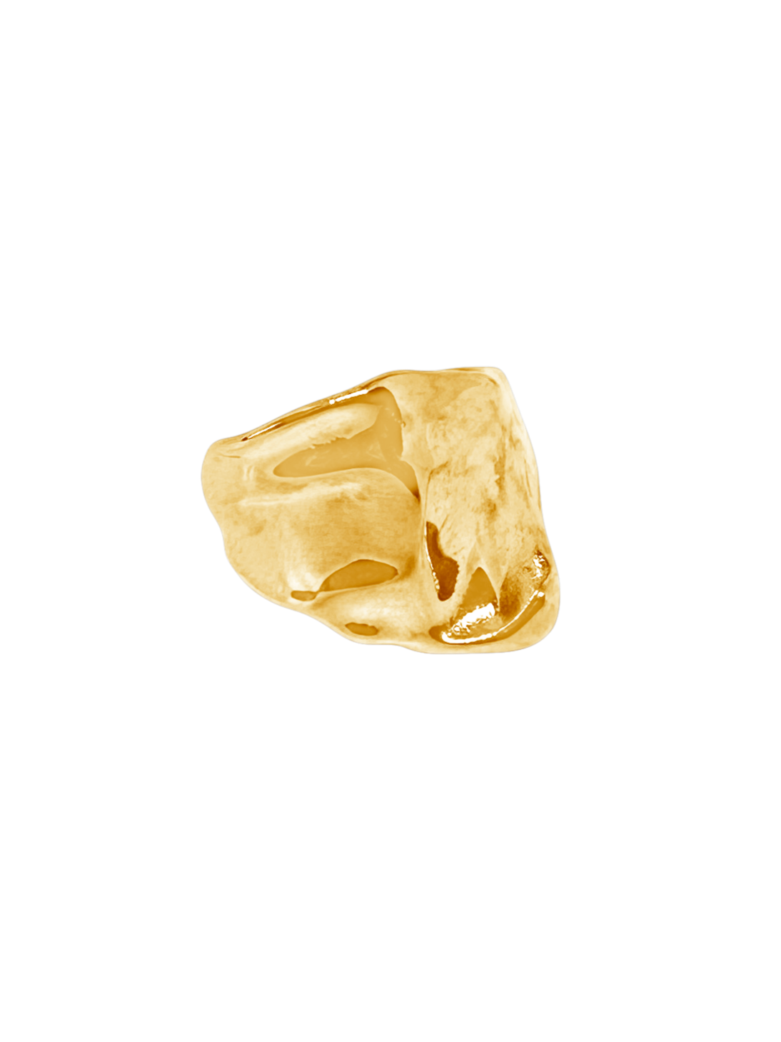 Fragments signature ring