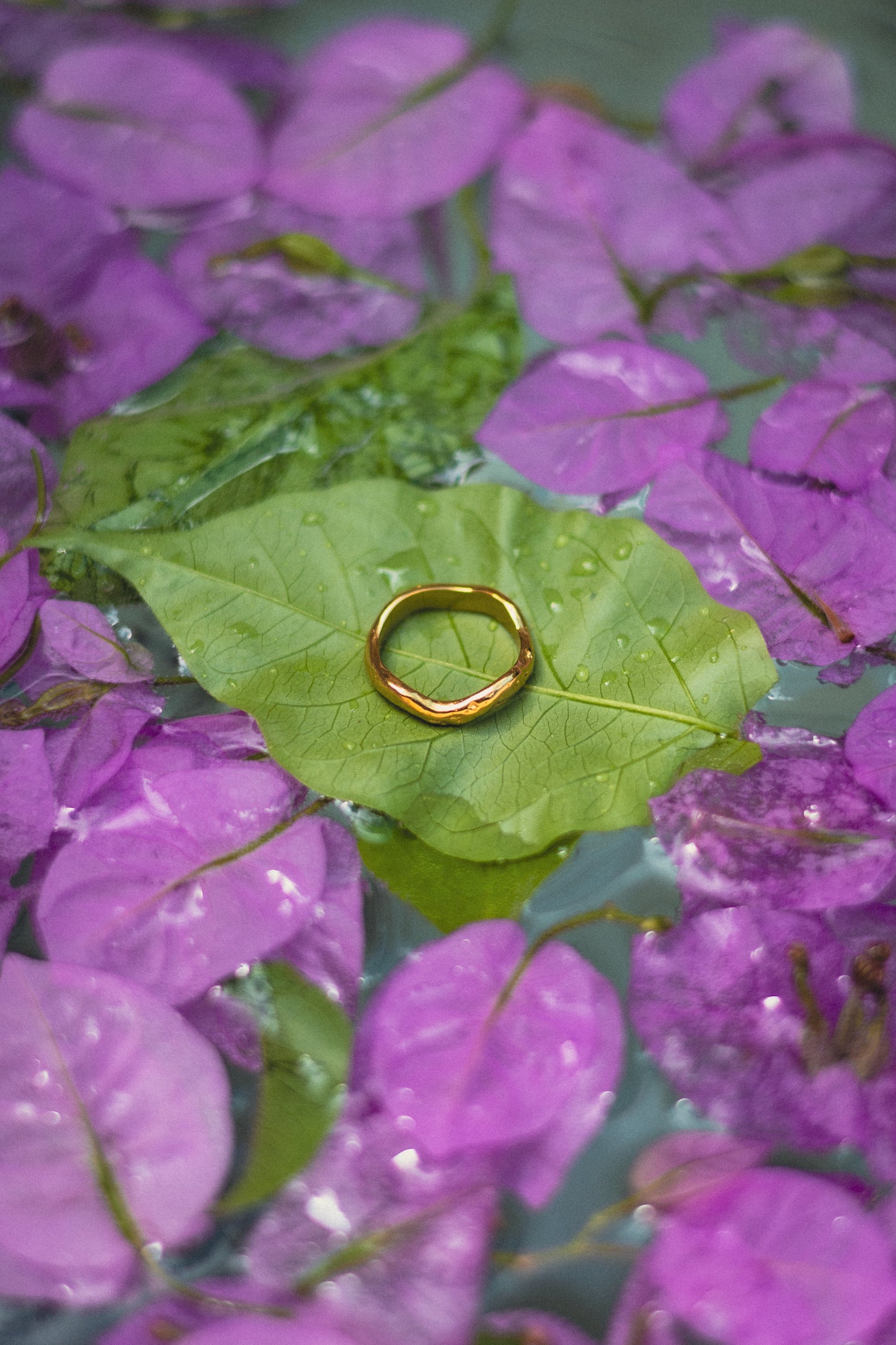 Elevate elegant ring