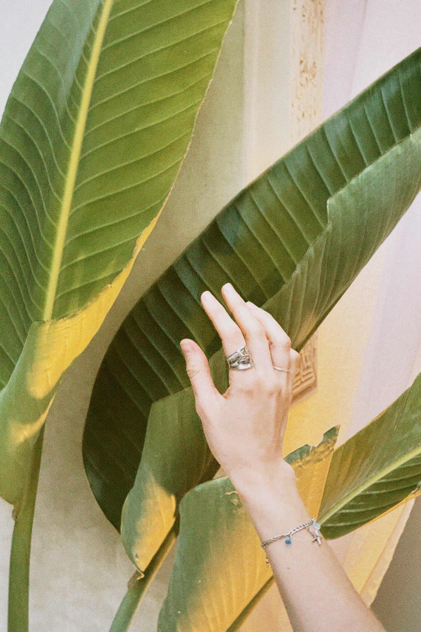 Fragments signature ring