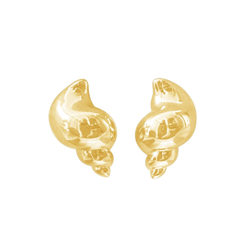 Cunch earrings
