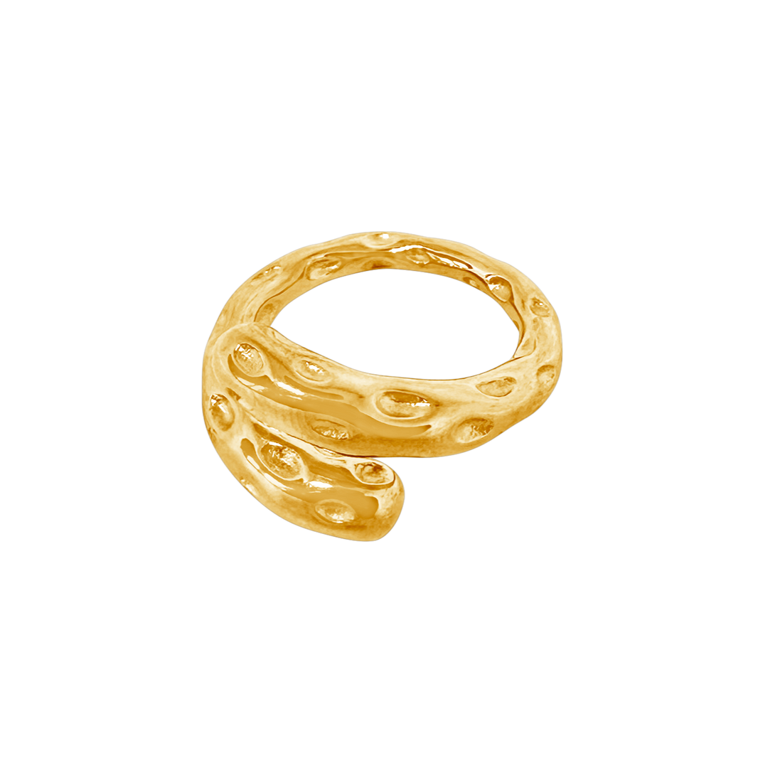 Fragment's ring