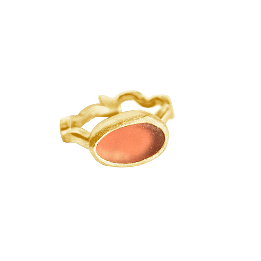 Sunset Coral
