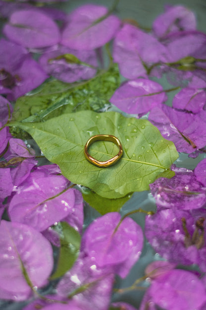 Elevate elegant ring