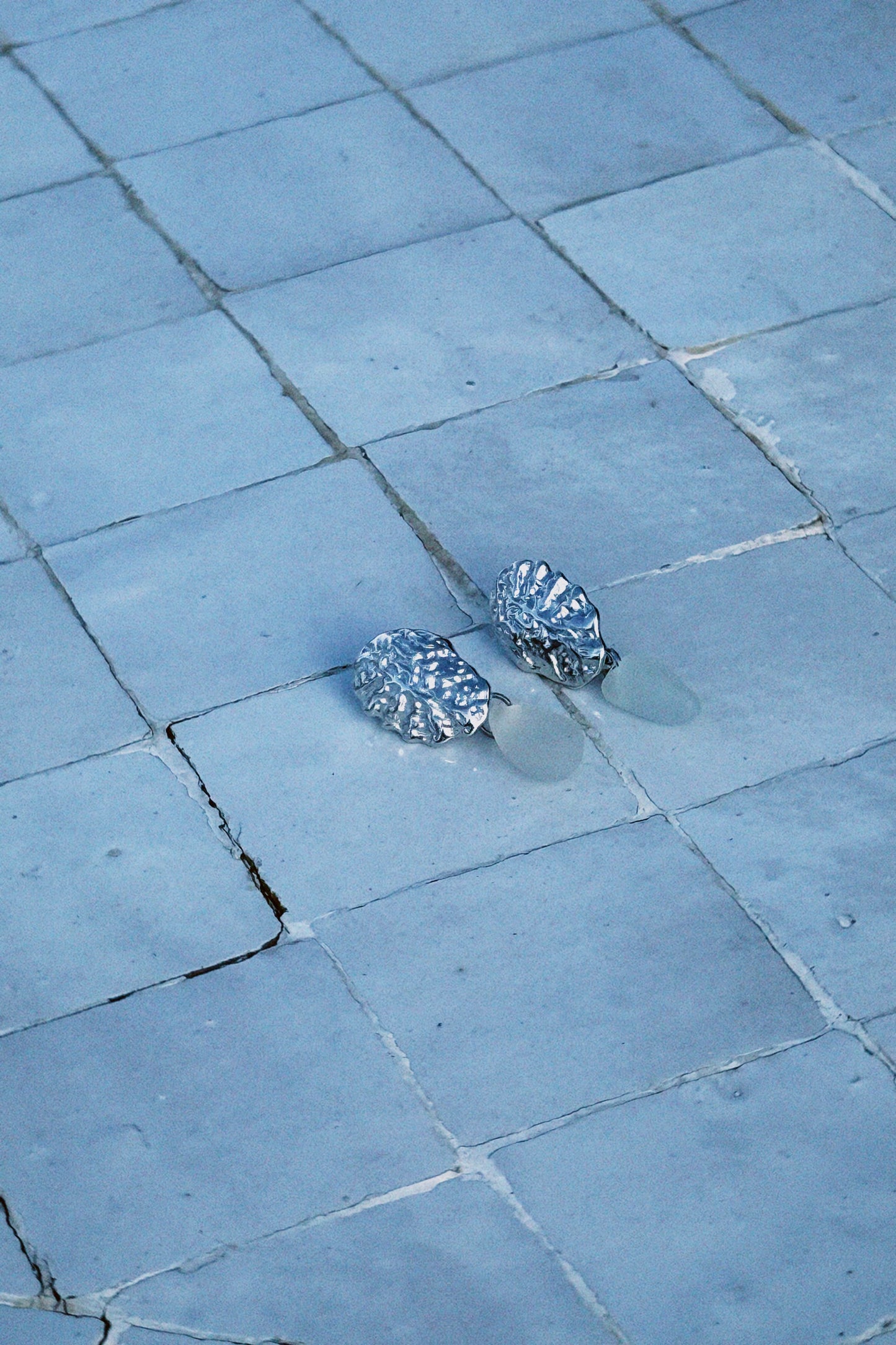 Sea urchin øreringe white